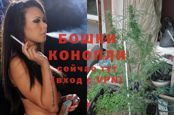 бошки Алзамай